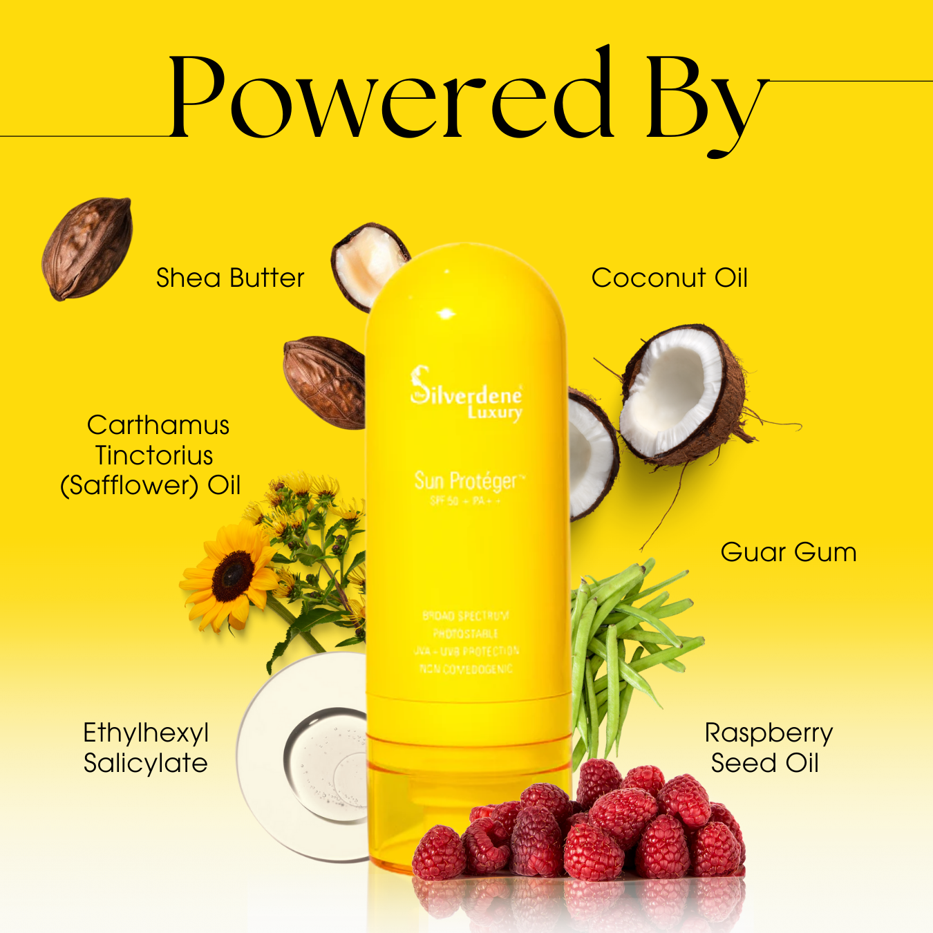 Sun Proteger SPF 50 + PA ++