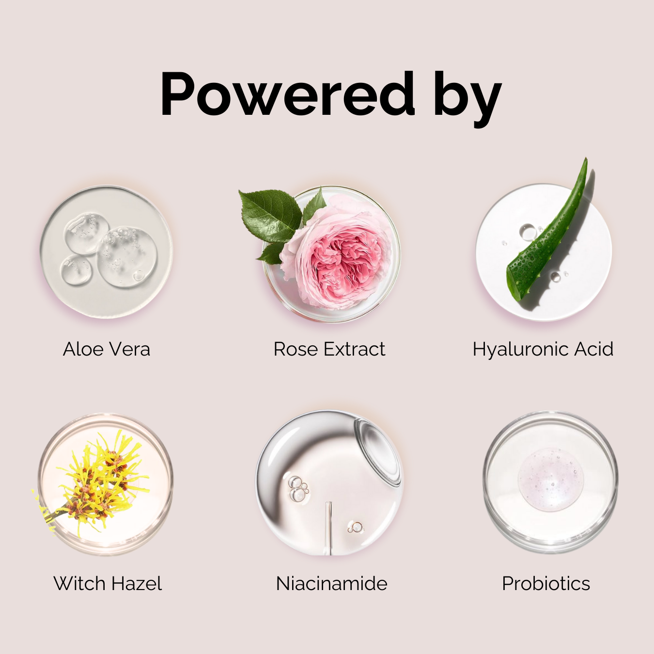 Rose Yogurt