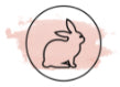 CRUELTY FREE